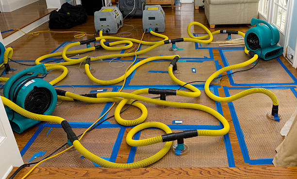 Professional Sewage Cleanup technician working in Elora, TN